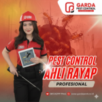 Jasa Suntik Rayap di Jogja No.1 Harga Termurah
