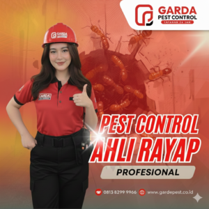 Jasa Anti Rayap di Jogja No.1 Terkemuka (DI YOGYAKARTA)