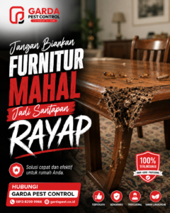 Jasa Anti Rayap di Solo
