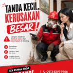 Jasa Pembasmi Rayap di Solo