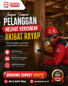 Jasa Anti Rayap Bergaransi Solo