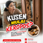 Suntik Anti Rayap Solo