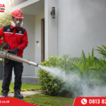 Harga Jasa Basmi Nyamuk Bekasi yang Transparan dan Solusi Jitu untuk Hunian Bebas Nyamuk