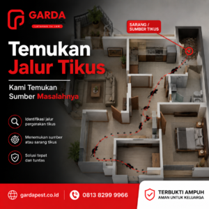 Biaya Jasa Pembasmi Tikus Bekasi