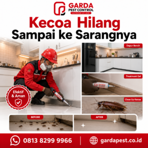 Biaya Jasa Pembasmi Hama di Bekasi Terlengkap & Terbaru