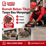 Biaya Jasa Pembasmi Hama di Bekasi Terlengkap & Terbaru