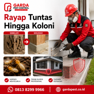 Jasa Pest Control untuk Restoran dan Bisnis di Bekasi: Perlindungan Bebas Hama