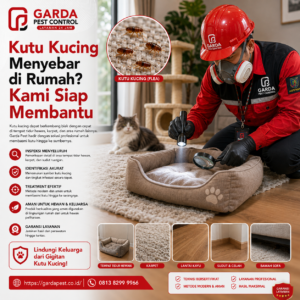 Biaya Jasa Pembasmi Kutu Kucing di Depok