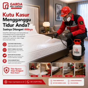 Harga Jasa Pembasmi Kutu Kasur Bekasi: Paling Terjangkau