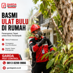 Jasa Pembasmi Ulat Bulu di Bandung: Garansi Tuntas